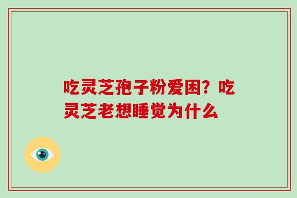 吃灵芝孢子粉爱困？吃灵芝老想睡觉为什么