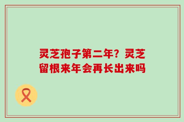 灵芝孢子第二年？灵芝留根来年会再长出来吗