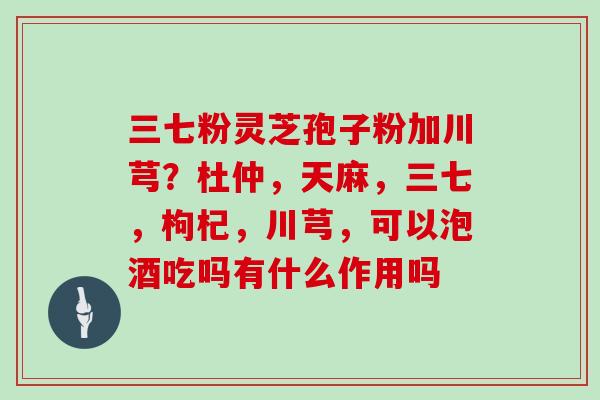 三七粉灵芝孢子粉加川芎？杜仲，天麻，三七，枸杞，川芎，可以泡酒吃吗有什么作用吗