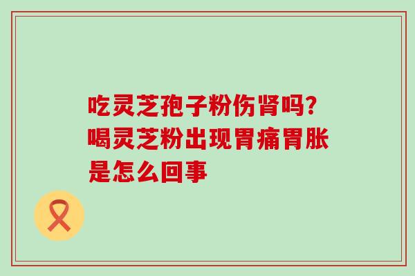 吃灵芝孢子粉伤吗？喝灵芝粉出现胃痛胃胀是怎么回事