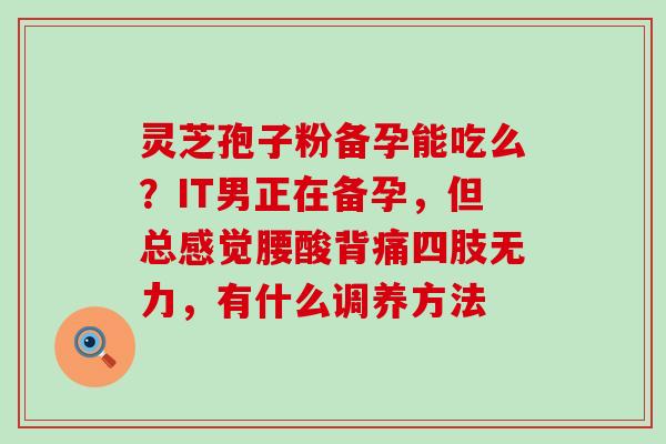 灵芝孢子粉备孕能吃么？IT男正在备孕，但总感觉腰酸背痛四肢无力，有什么调养方法