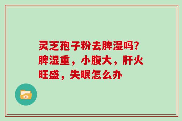 灵芝孢子粉去脾湿吗？脾湿重，小腹大，火旺盛，怎么办