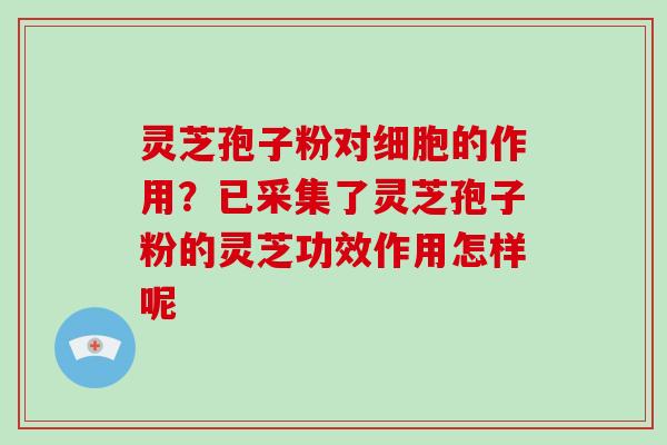 灵芝孢子粉对细胞的作用？已采集了灵芝孢子粉的灵芝功效作用怎样呢