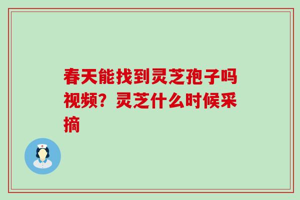 春天能找到灵芝孢子吗视频？灵芝什么时候采摘