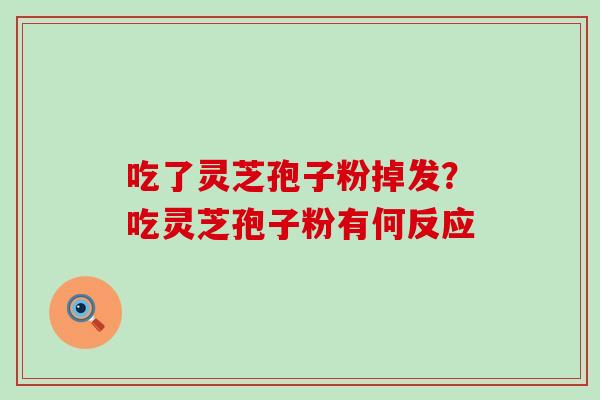 吃了灵芝孢子粉掉发？吃灵芝孢子粉有何反应