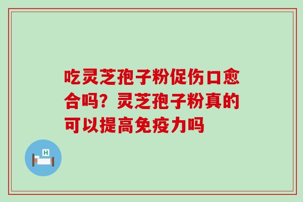 吃灵芝孢子粉促伤口愈合吗？灵芝孢子粉真的可以提高免疫力吗