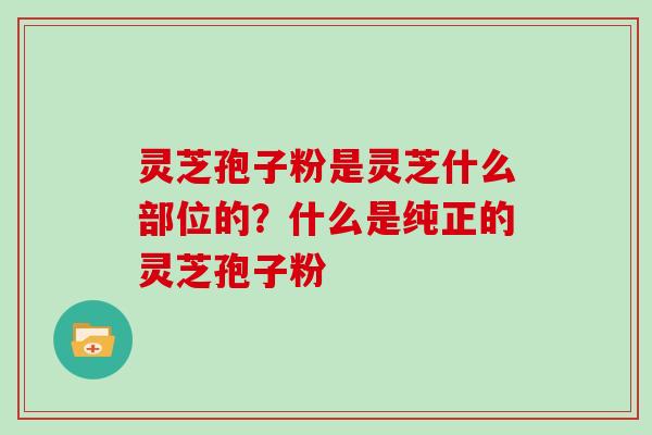 灵芝孢子粉是灵芝什么部位的？什么是纯正的灵芝孢子粉