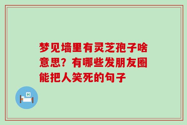 梦见墙里有灵芝孢子啥意思？有哪些发朋友圈能把人笑死的句子