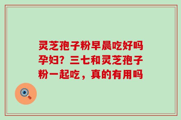 灵芝孢子粉早晨吃好吗孕妇？三七和灵芝孢子粉一起吃，真的有用吗