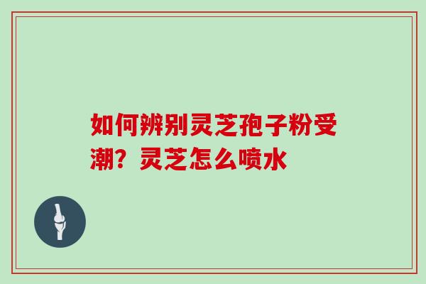 如何辨别灵芝孢子粉受潮？灵芝怎么喷水