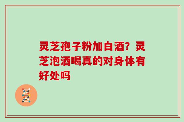 灵芝孢子粉加白酒？灵芝泡酒喝真的对身体有好处吗