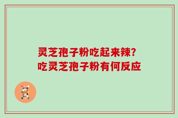 灵芝孢子粉吃起来辣？吃灵芝孢子粉有何反应