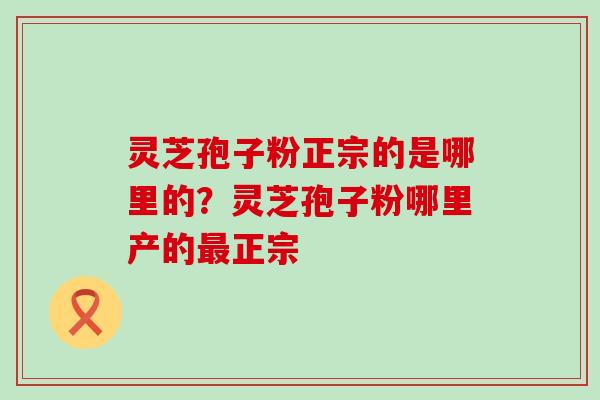 灵芝孢子粉正宗的是哪里的？灵芝孢子粉哪里产的正宗