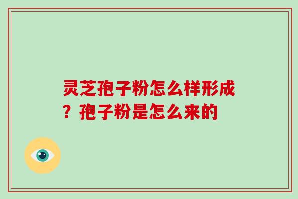 灵芝孢子粉怎么样形成？孢子粉是怎么来的