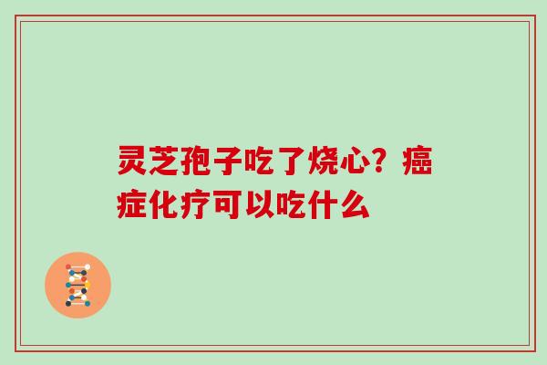 灵芝孢子吃了烧心？症可以吃什么