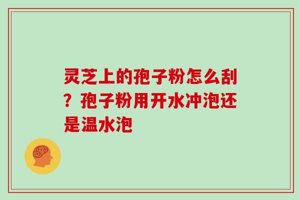 灵芝上的孢子粉怎么刮？孢子粉用开水冲泡还是温水泡