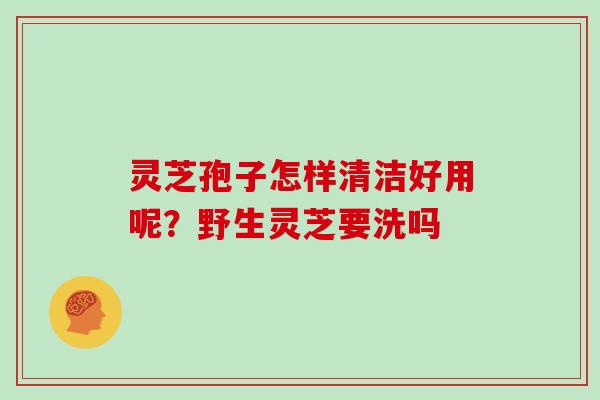 灵芝孢子怎样清洁好用呢？野生灵芝要洗吗