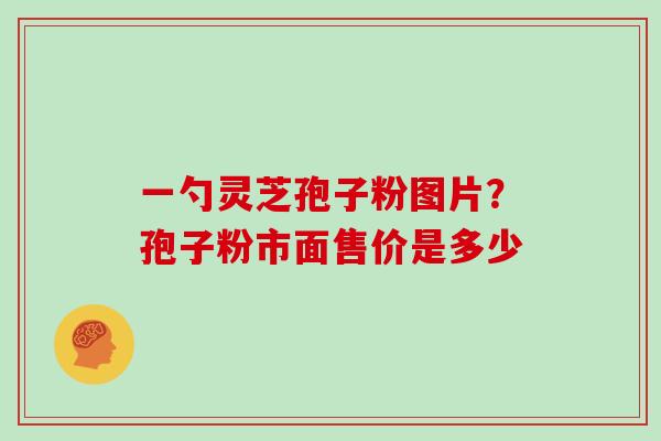 一勺灵芝孢子粉图片？孢子粉市面售价是多少