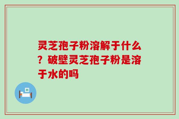 灵芝孢子粉溶解于什么？破壁灵芝孢子粉是溶于水的吗