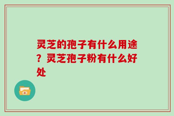 灵芝的孢子有什么用途？灵芝孢子粉有什么好处