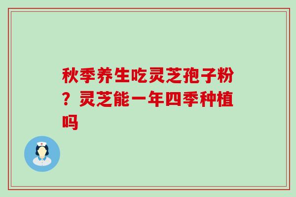 秋季养生吃灵芝孢子粉？灵芝能一年四季种植吗