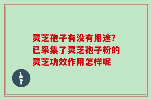 灵芝孢子有没有用途？已采集了灵芝孢子粉的灵芝功效作用怎样呢