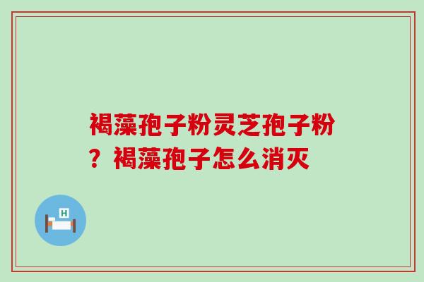 褐藻孢子粉灵芝孢子粉？褐藻孢子怎么消灭