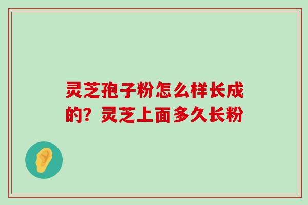 灵芝孢子粉怎么样长成的？灵芝上面多久长粉