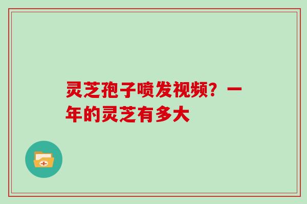 灵芝孢子喷发视频？一年的灵芝有多大