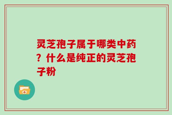 灵芝孢子属于哪类？什么是纯正的灵芝孢子粉