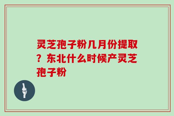 灵芝孢子粉几月份提取？东北什么时候产灵芝孢子粉