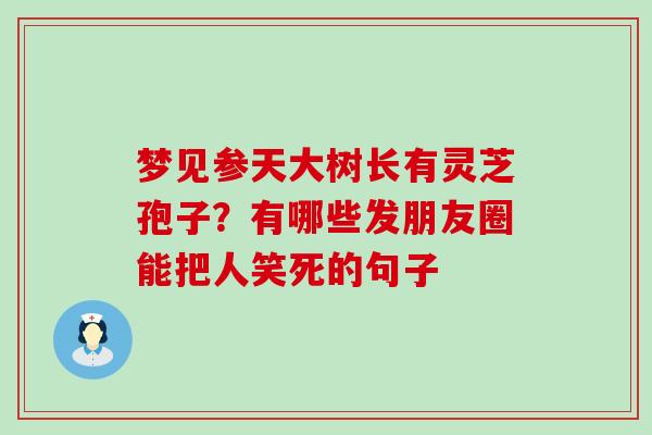 梦见参天大树长有灵芝孢子？有哪些发朋友圈能把人笑死的句子