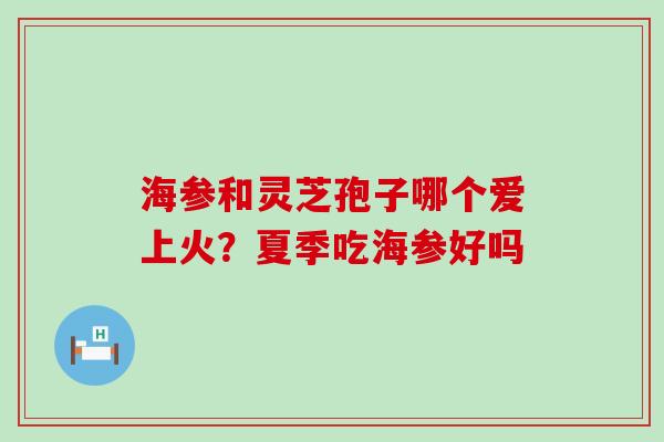 海参和灵芝孢子哪个爱上火？夏季吃海参好吗