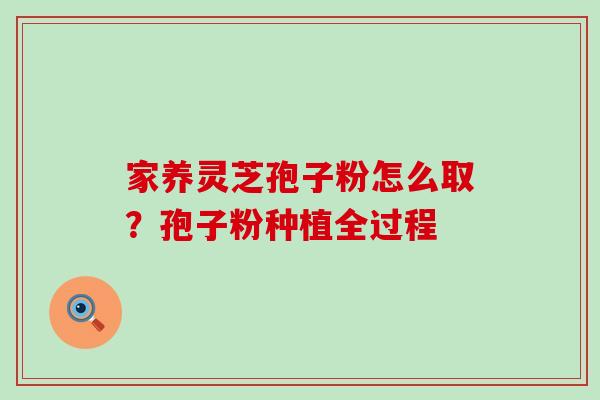 家养灵芝孢子粉怎么取？孢子粉种植全过程