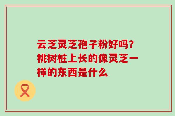 云芝灵芝孢子粉好吗？桃树桩上长的像灵芝一样的东西是什么