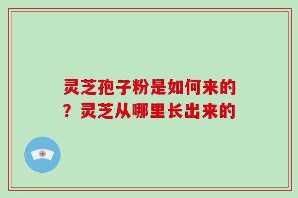 灵芝孢子粉是如何来的？灵芝从哪里长出来的