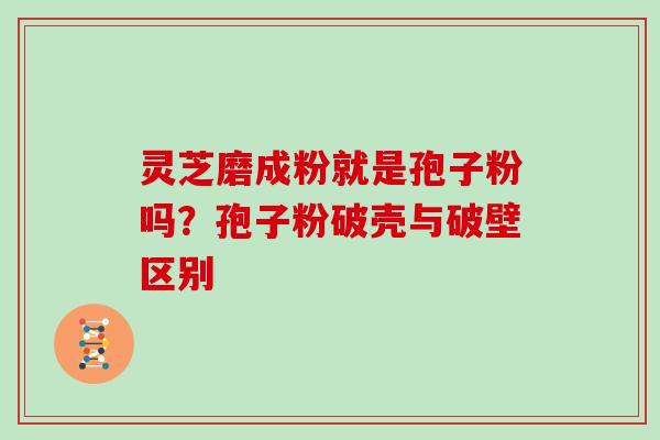 灵芝磨成粉就是孢子粉吗？孢子粉破壳与破壁区别