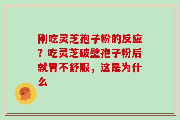 刚吃灵芝孢子粉的反应？吃灵芝破壁孢子粉后就胃不舒服，这是为什么