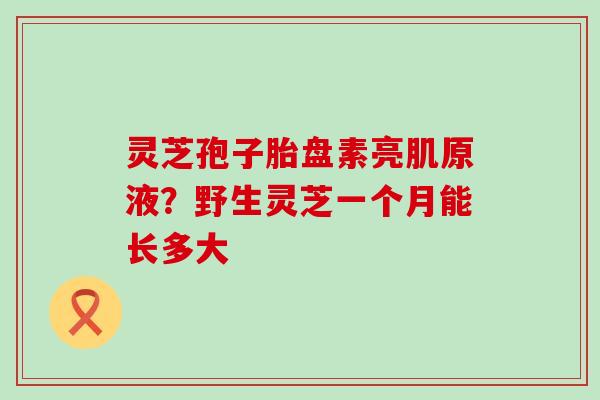 灵芝孢子胎盘素亮肌原液？野生灵芝一个月能长多大