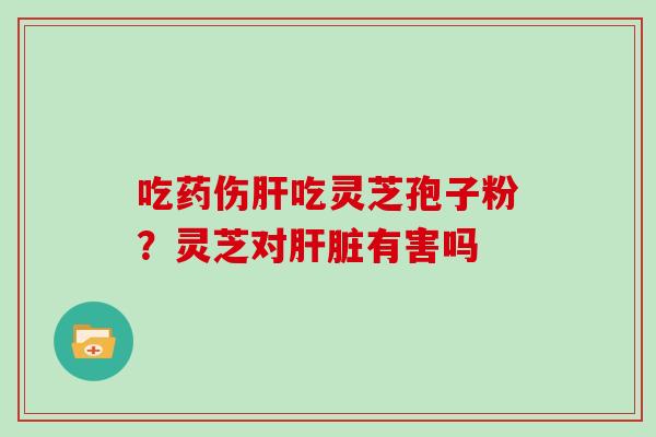 吃药伤吃灵芝孢子粉？灵芝对有害吗