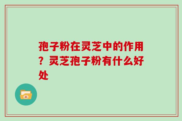 孢子粉在灵芝中的作用？灵芝孢子粉有什么好处