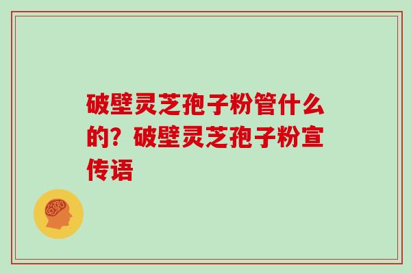 破壁灵芝孢子粉管什么的？破壁灵芝孢子粉宣传语