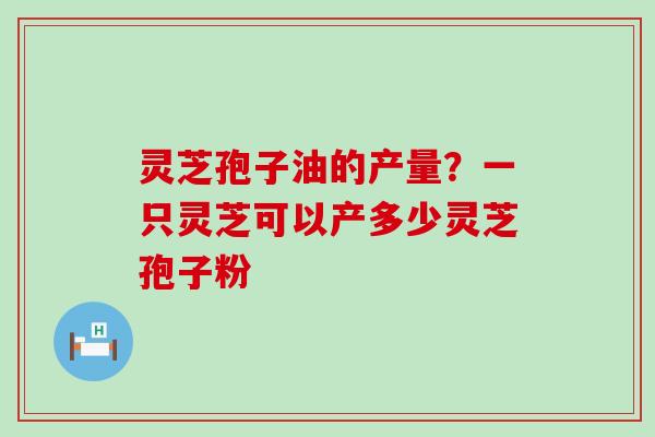 灵芝孢子油的产量？一只灵芝可以产多少灵芝孢子粉