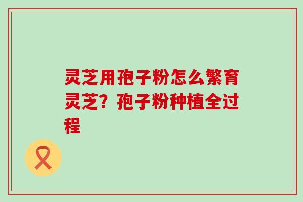 灵芝用孢子粉怎么繁育灵芝？孢子粉种植全过程