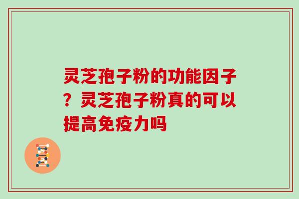 灵芝孢子粉的功能因子？灵芝孢子粉真的可以提高免疫力吗