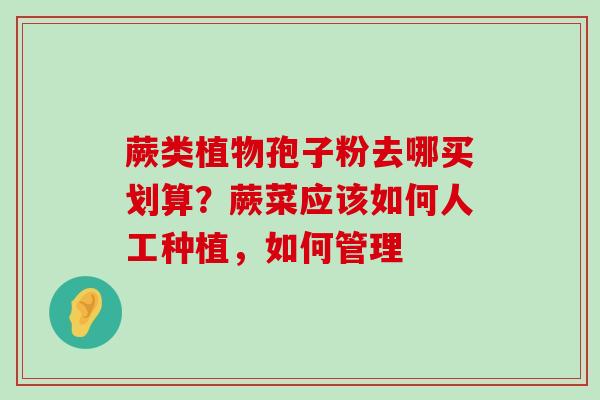 蕨类植物孢子粉去哪买划算？蕨菜应该如何人工种植，如何管理