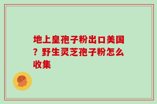 地上皇孢子粉出口美国？野生灵芝孢子粉怎么收集