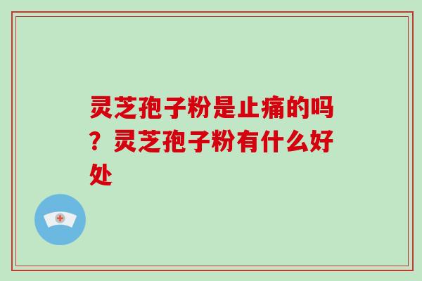 灵芝孢子粉是的吗？灵芝孢子粉有什么好处