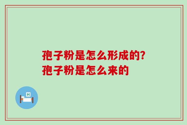 孢子粉是怎么形成的？孢子粉是怎么来的