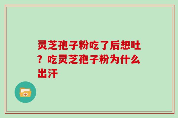 灵芝孢子粉吃了后想吐？吃灵芝孢子粉为什么出汗